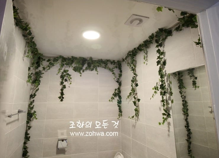 홍대 블룸스토리 — 구석 공간까지 이어진 넝쿨