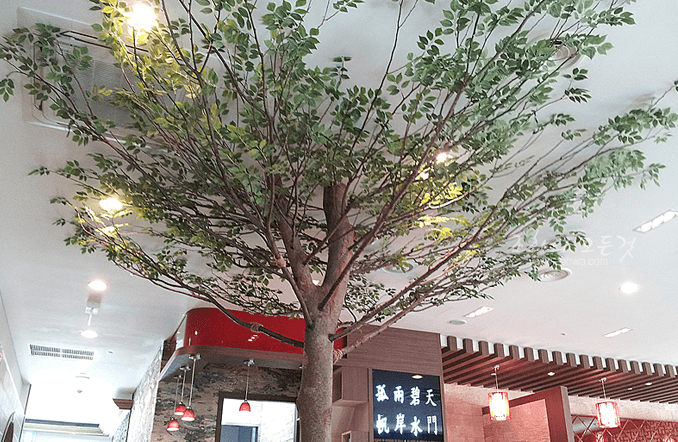 홍대입구 차이나레스토랑 천장으로 펼쳐진 가지