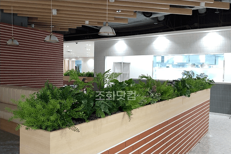 고양시 동국대 일산병원 — 지하 식당가 좌석 사이를 식물 플랜트박스로 채운 모습