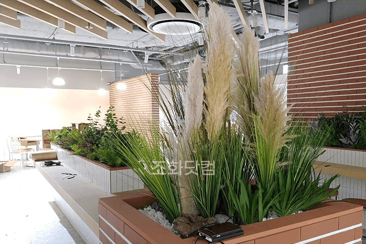 고양시 동국대 일산병원 — 식당가에 팜파스와 식물을 채운 플랜트박스