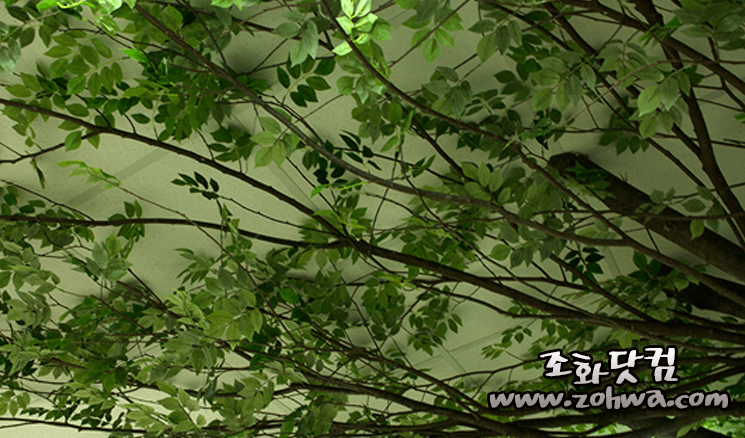 화성 유도실업 구내식당 — 천장 가까이 퍼진 잎사귀