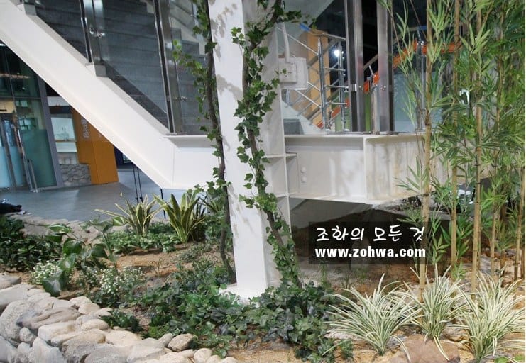 익산 전북 과학교육원 — 기둥 넝쿨과 대나무