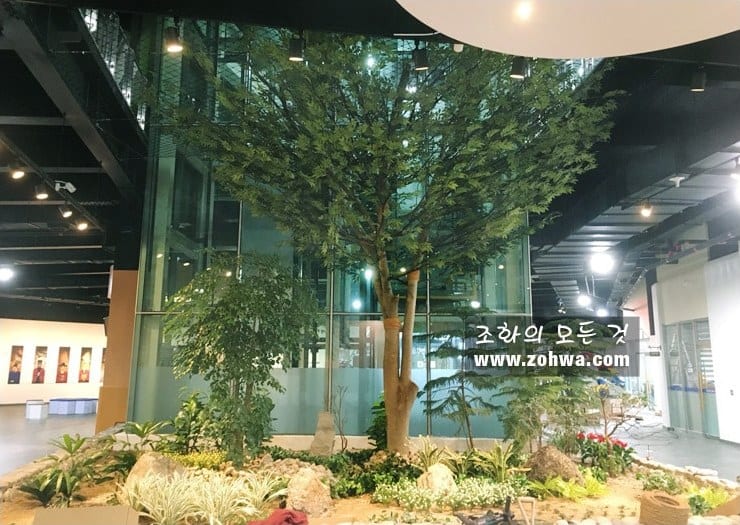 익산 전북 과학교육원 — 로비 중심의 대형 올리브나무