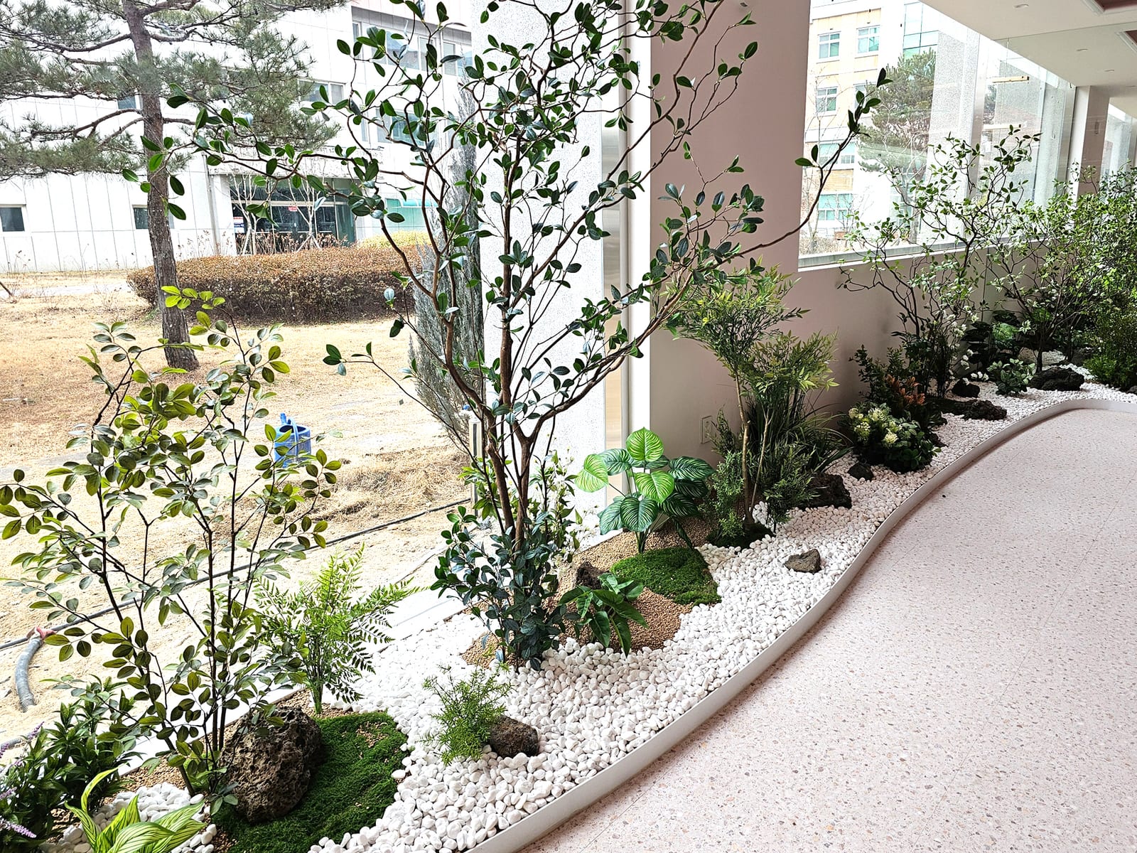 충북도립대학교 창가 인조 화단 — 인조나무와 이끼, 하얀 자갈, 자연석을 곡선으로 흘려 배치한 디테일