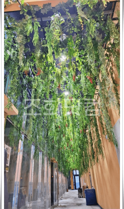 파주 테이블에이 파주점 — 관람 통로 천장을 덮은 행잉넝쿨