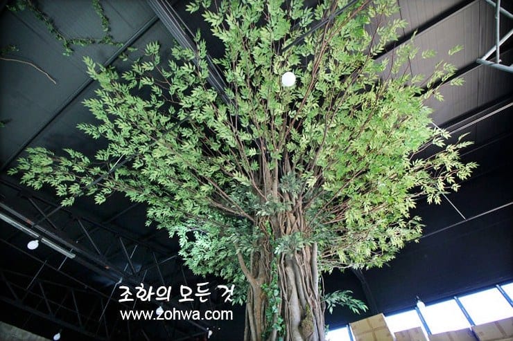 용인 장어랑돈이랑 — 올리브넝쿨나무 전체