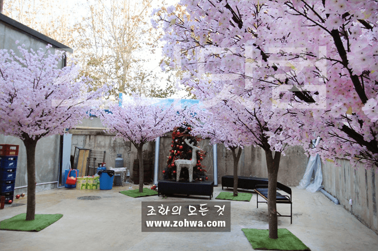 대구 제일창고 — 마당 입구의 벚꽃숲
