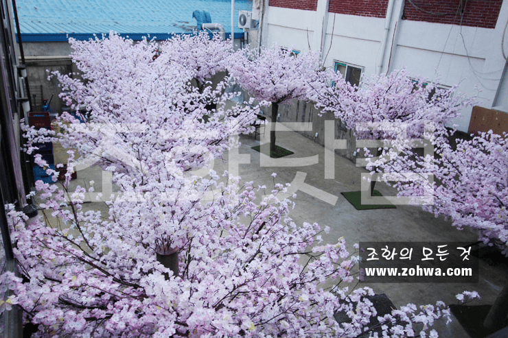 대구 제일창고 — 옥상과 마당으로 이어진 벚꽃숲