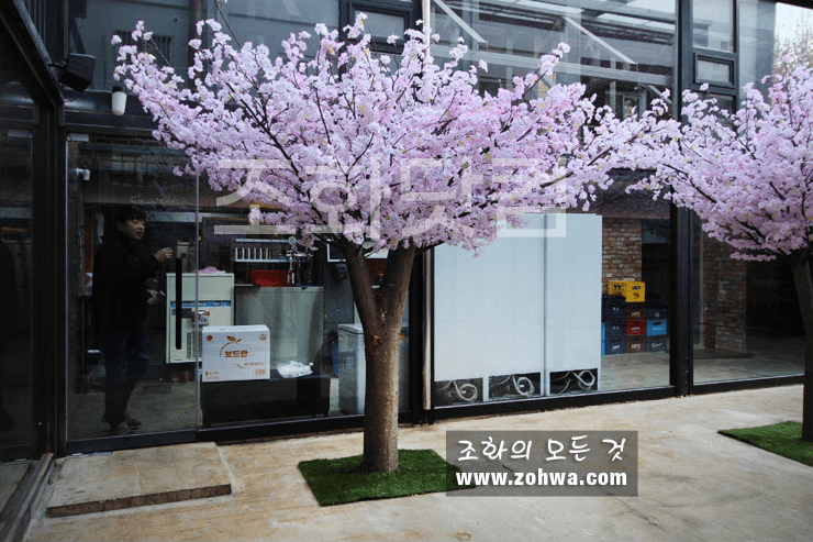 대구 제일창고 — 붉은 벽돌 입구의 벚꽃나무