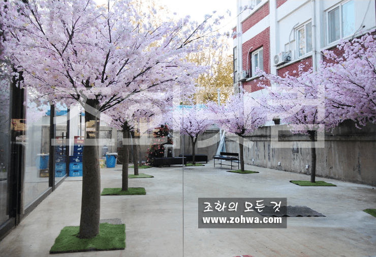 대구 제일창고 — 빈티지 마당을 채운 벚꽃숲