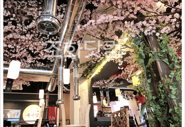 전주 육회공작소 전북대점 — 아이비 넝쿨을 두른 기둥과 천장 벚꽃
