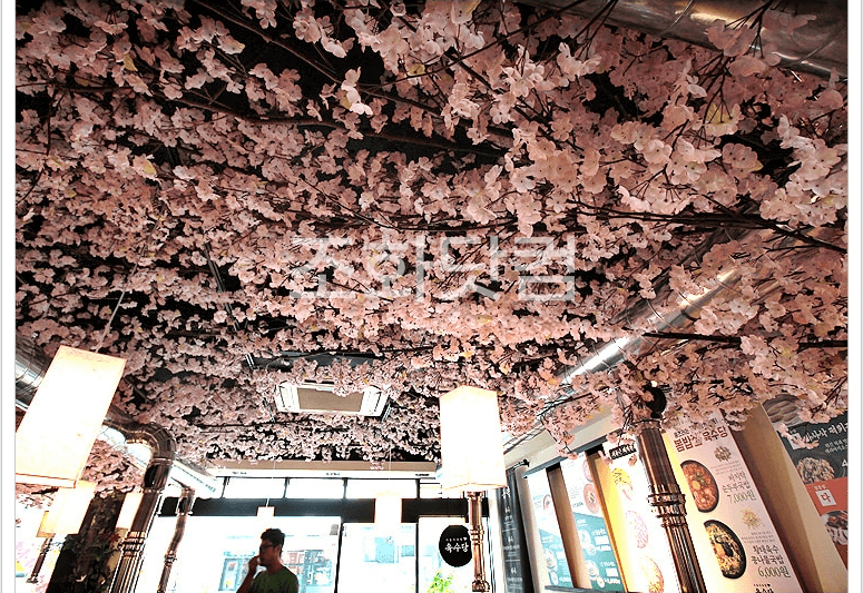전주 육회공작소 전북대점 — 올려다본 천장 벚꽃 하늘