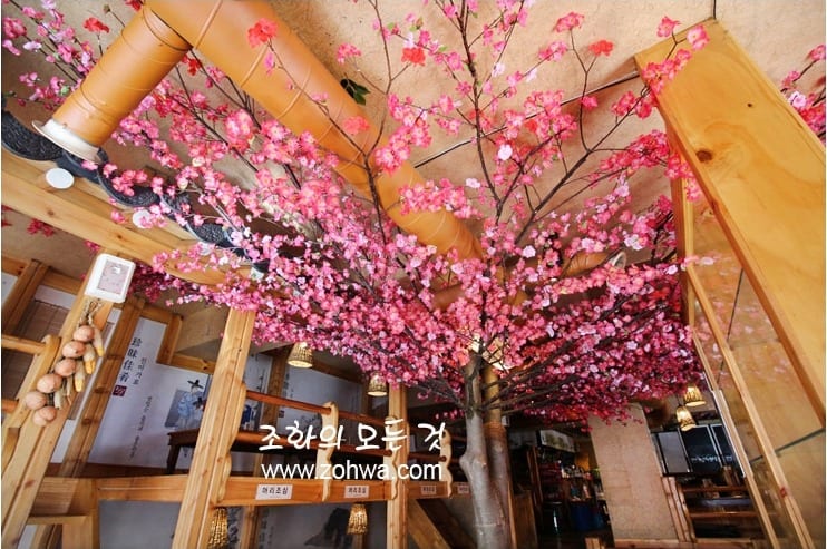 대구 정선생 경북대점 — 실내에 세운 매화나무