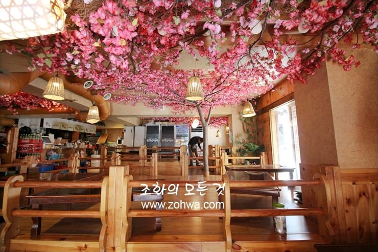 대구 정선생 경북대점 — 천장을 덮은 인조 매화나무숲