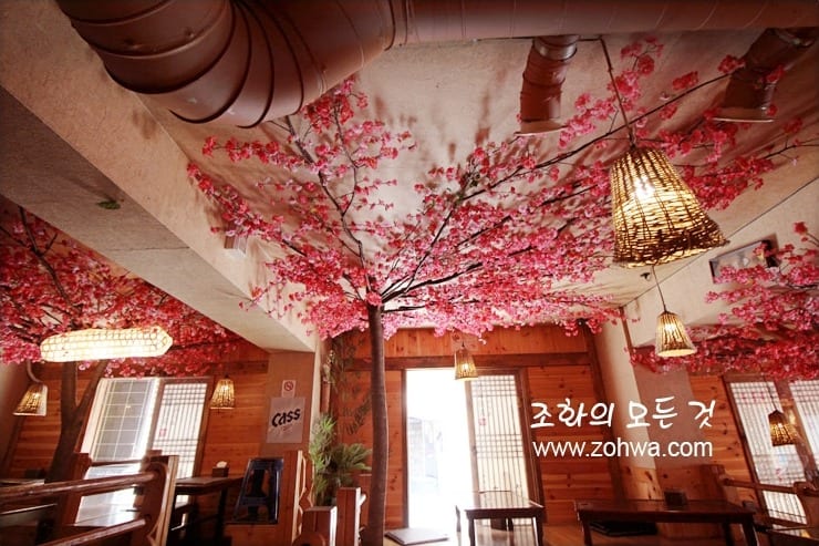 대구 정선생 경북대점 — 좌석 위로 드리운 매화 가지