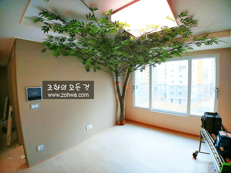 시흥 정왕동 아파트거실 — 거실 코너를 채운 큰 나무