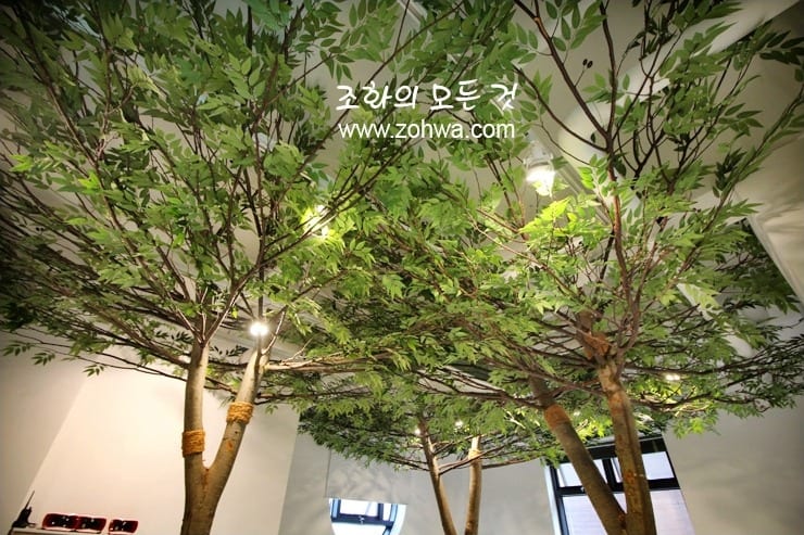 경남 진주 진주어린이환경박물관 — 천장까지 이어진 넝쿨과 잎