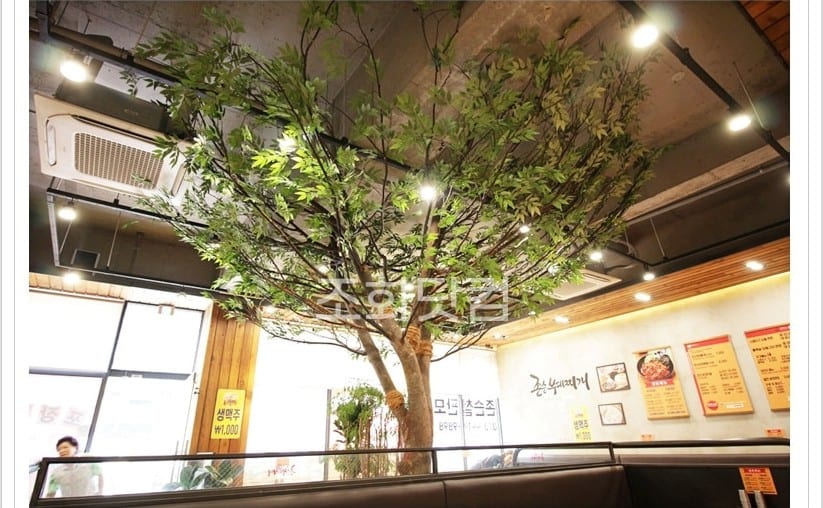 인천 존슨부대찌개 용현점 — 창가에서 본 나무와 매장