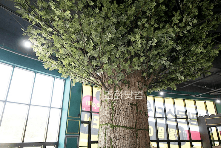 청주 점핑몬스터 — 수관 아래 그늘과 좌석