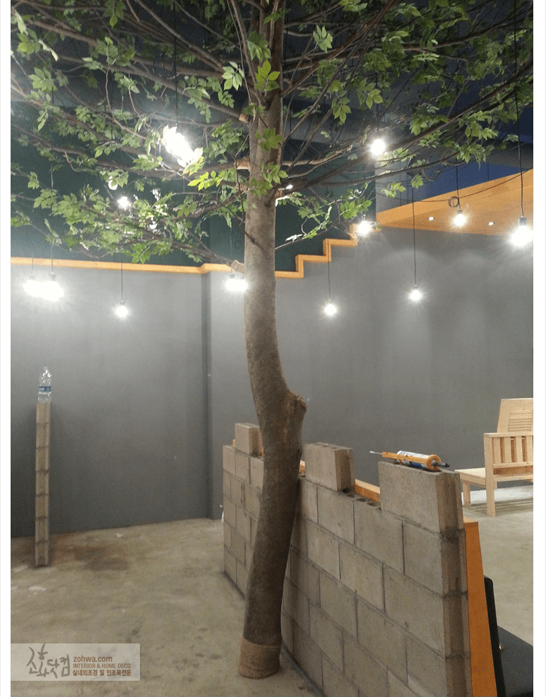 가양동 쿠오코 — 시멘트 블록 화단에서 솟은 거친 목대