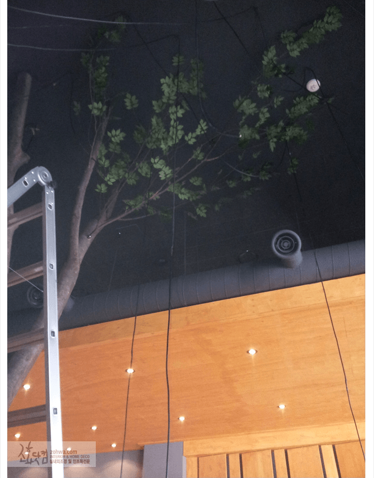 가양동 쿠오코 — 스팟 조명 아래 천장을 덮은 나무 그늘