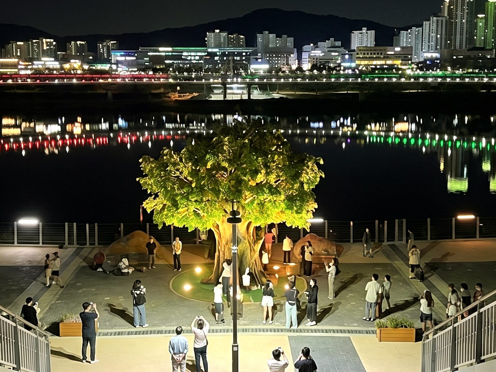 세종 금강보행교 — 밤이면 나무 아래로 사람들이 모여드는 관광 명소