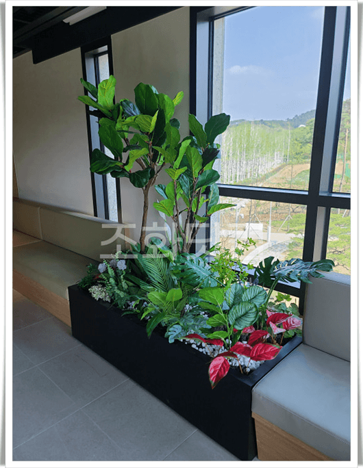 오산 롯데인재개발원 독립형으로 서 있는 완제형 플랜트박스