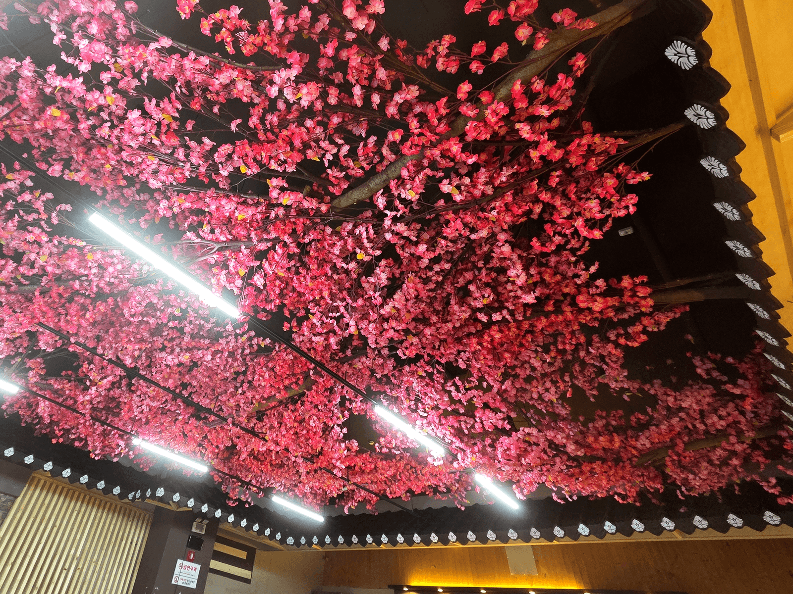전주깍두기 송천에코시티점 — 천장 전면을 덮은 홍매화 캐노피