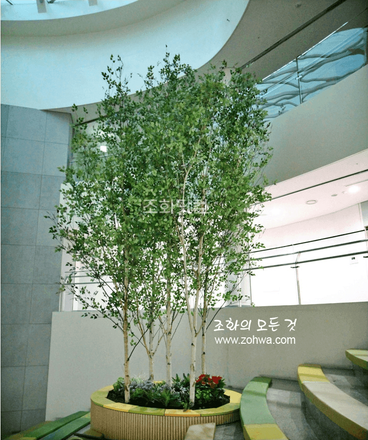서울 경복초등학교 — 복층 중앙홀에 솟은 대형 인조 자작나무 군락 전경