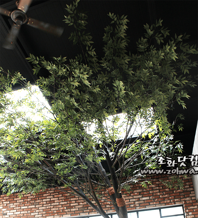 목포 명성스튜디오 — 실물이라 나오는 빛과 그림자