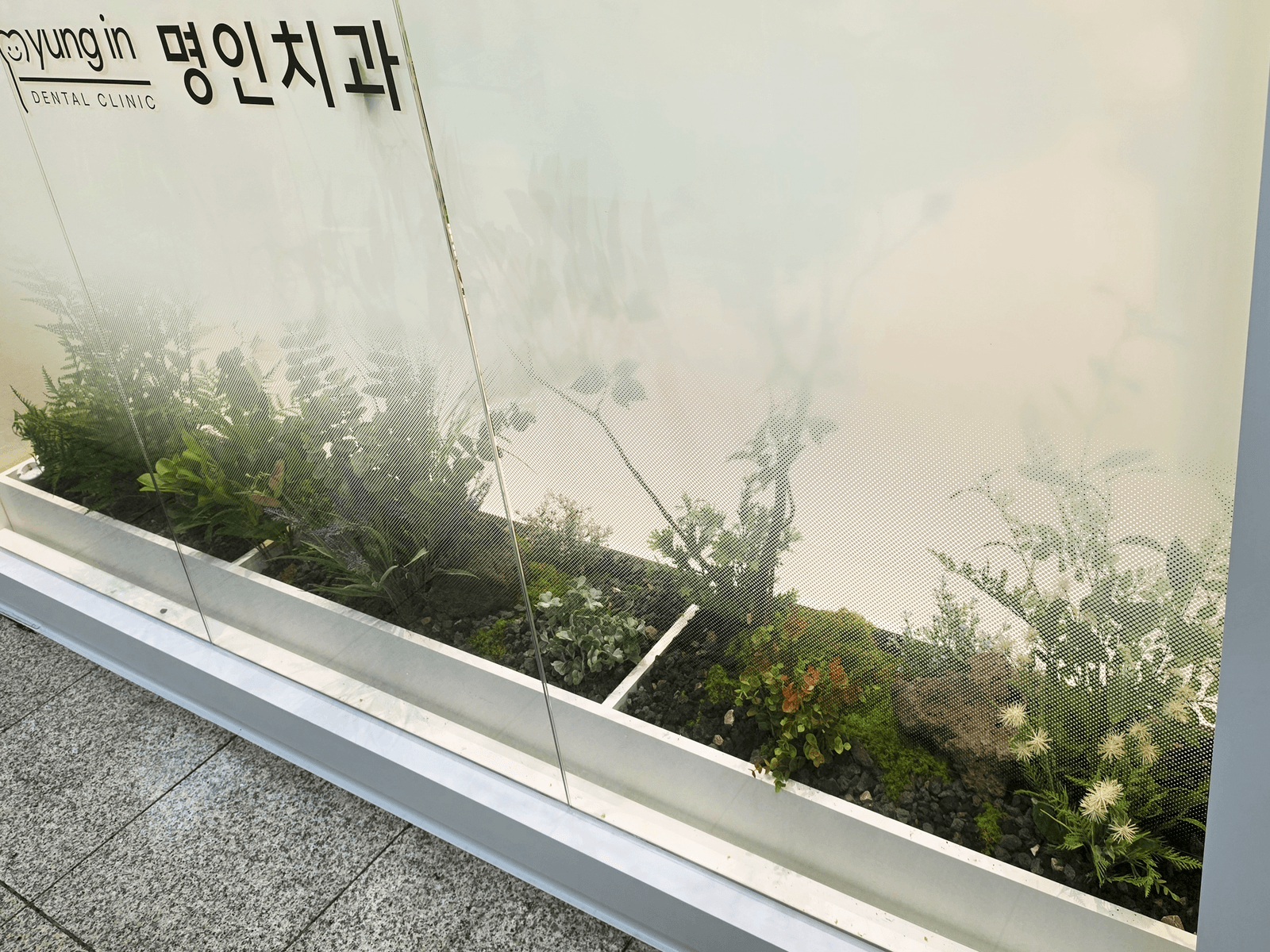 낮은 각도에서 본 서울 동작구 명인치과 화단 실루엣