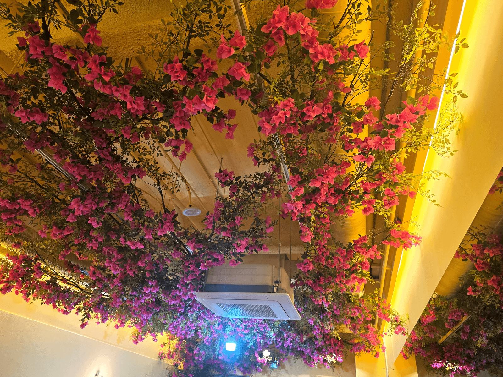 좌석을 줄이지 않고 천장만 쓴 화곡동 남후아힌 꽃 연출