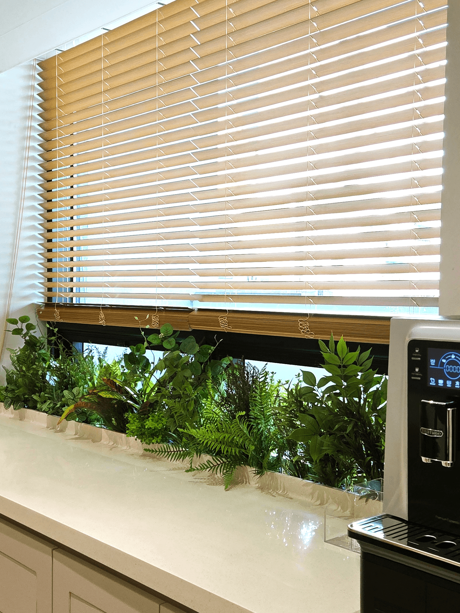 부천 스터디카페 — 창가 선반까지 이어진 초록 화단