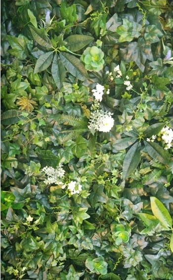삼성동 네이처컬렉션 — 사진 배경이 되는 흰 조화꽃 디테일