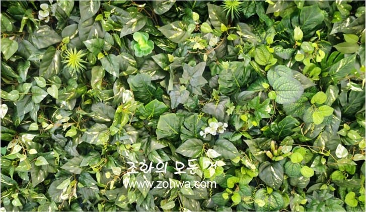 삼성동 네이처컬렉션 — 아이비 잎과 넓은 잎을 섞은 벽면녹화 디테일