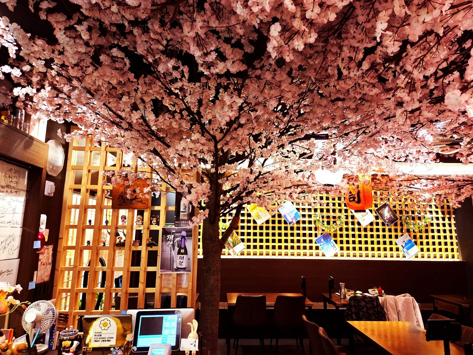 서울 강남 이자카야 — 조명 빛을 받은 벚꽃 가지의 표정