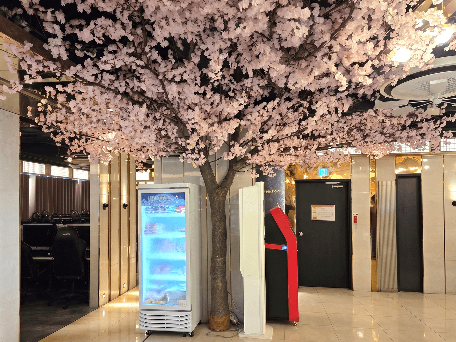 평택 제니스 PC방 — 입구 쪽 벚꽃나무 줄기와 깨끗한 바닥