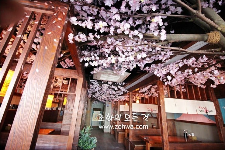 서울 오이시 이자카야 — 조명에 스민 저녁 벚꽃