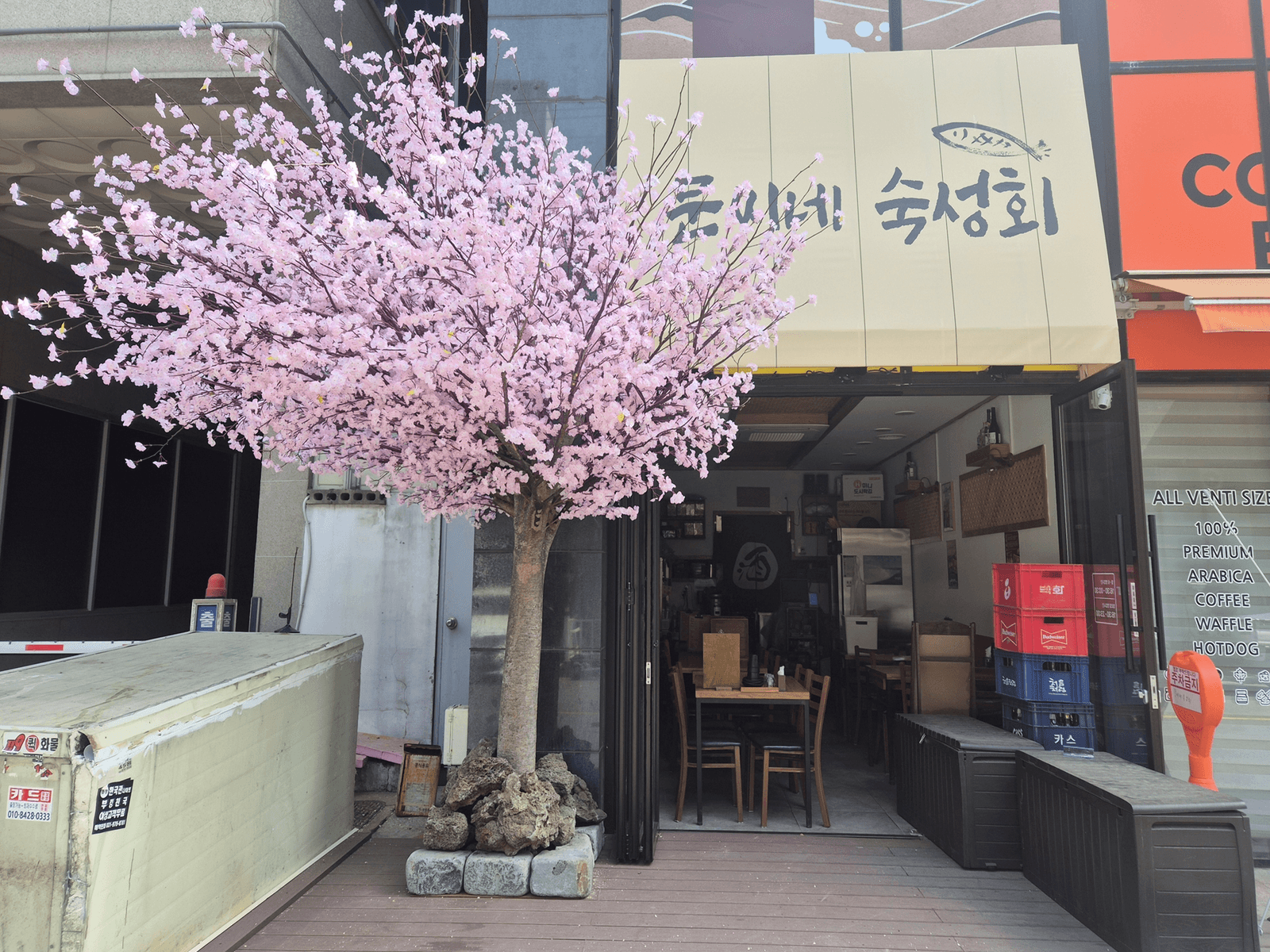 고양시 행신동 문씨네 숙성회 — 분홍 벚꽃나무가 선 시공 후의 매장 앞