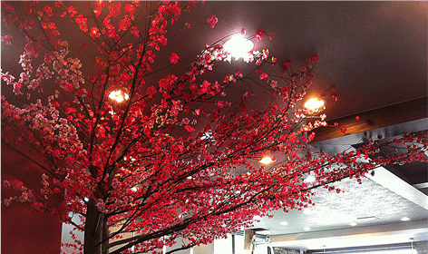 파주 평안도찹쌀순대 천장을 덮은 매화 가지