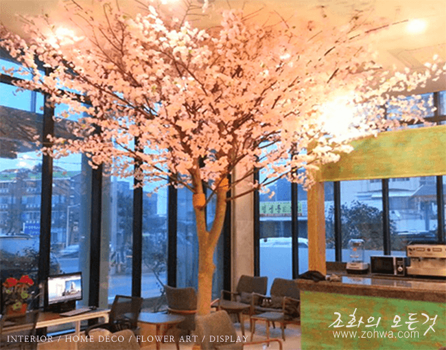 제주 파라다이스호텔 — 벚꽃 배경 장면