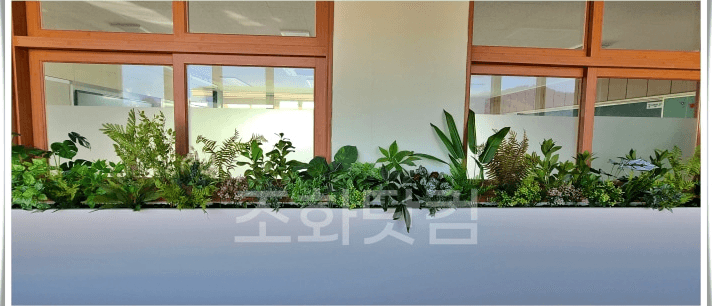 횡성 대동여자중학교 — 창가 화단도 일정 안에 완성