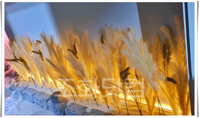 서울 탐라포차 이수점 — 황금빛 팜파스와 하얀 모래로 연출한 감성 벽면