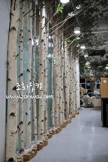 서울대학교 대학원생실 — 자작나무 파티션으로 구획한 학습 공간