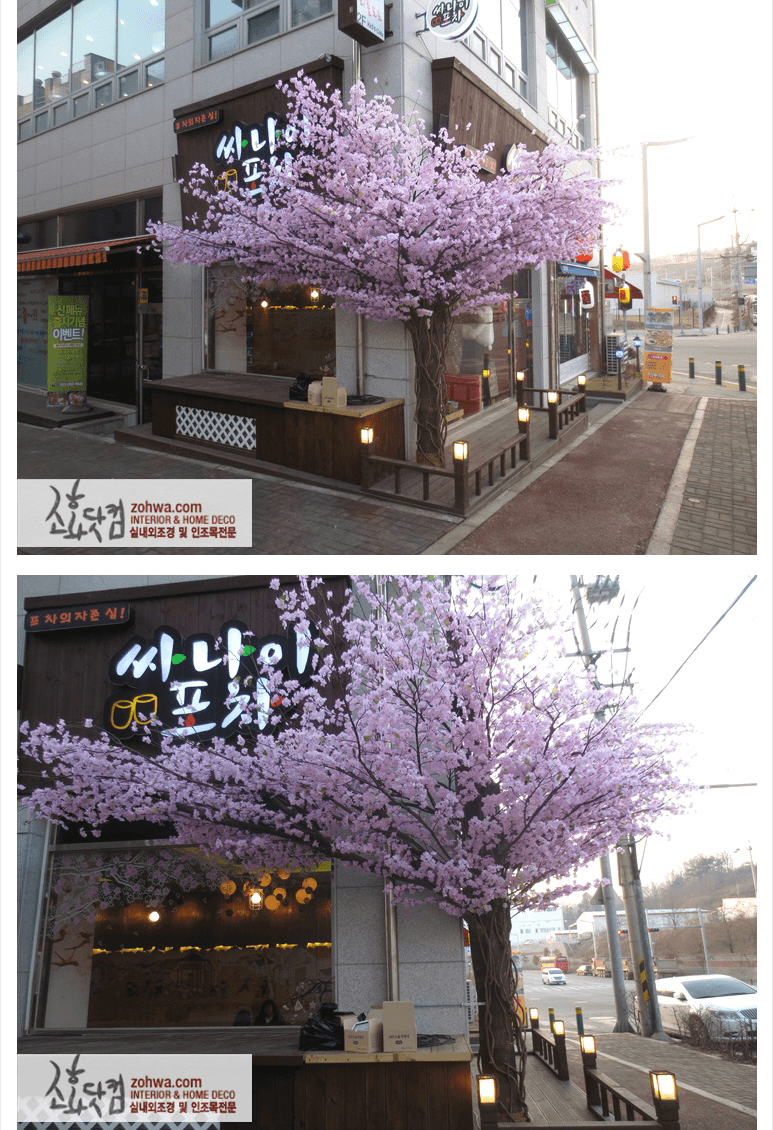 파주 싸나이포차 — 두 방향에서 본 코너 벚꽃