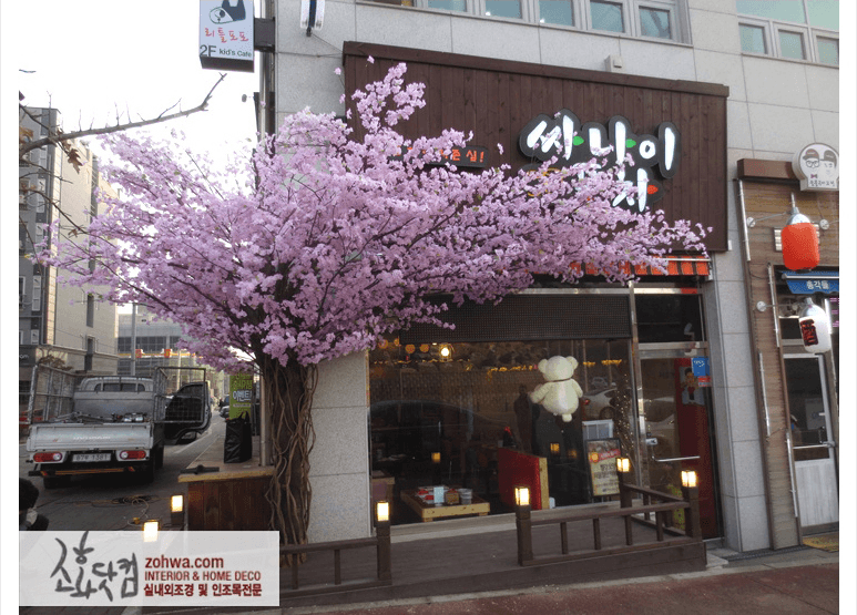 파주 싸나이포차 — 벚꽃 가지가 간판 위까지 드리운 입구