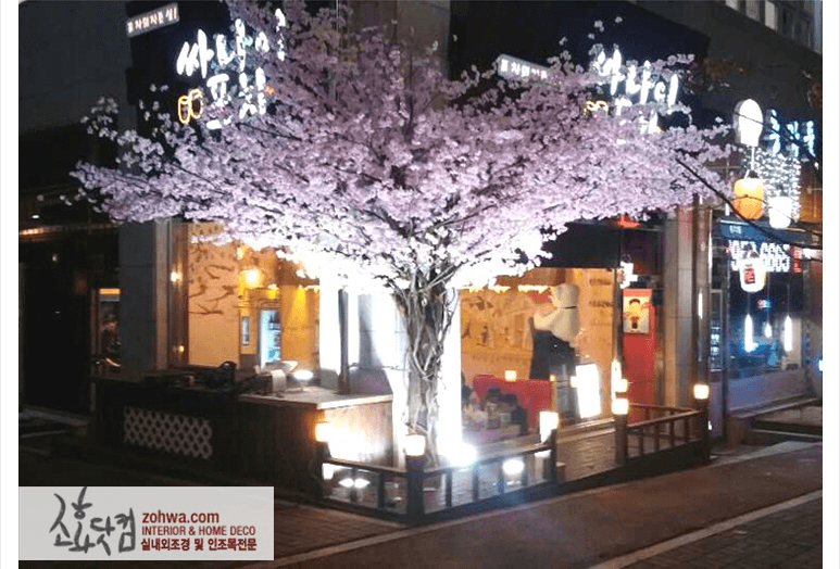 파주 싸나이포차 — 밤에도 만개 상태를 유지하는 벚꽃