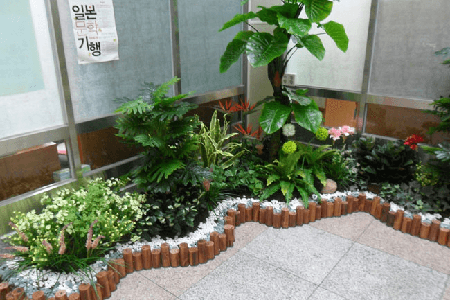 서울 무학중학교 — 붉고 분홍빛 꽃식물이 채워진 화단 근접 모습