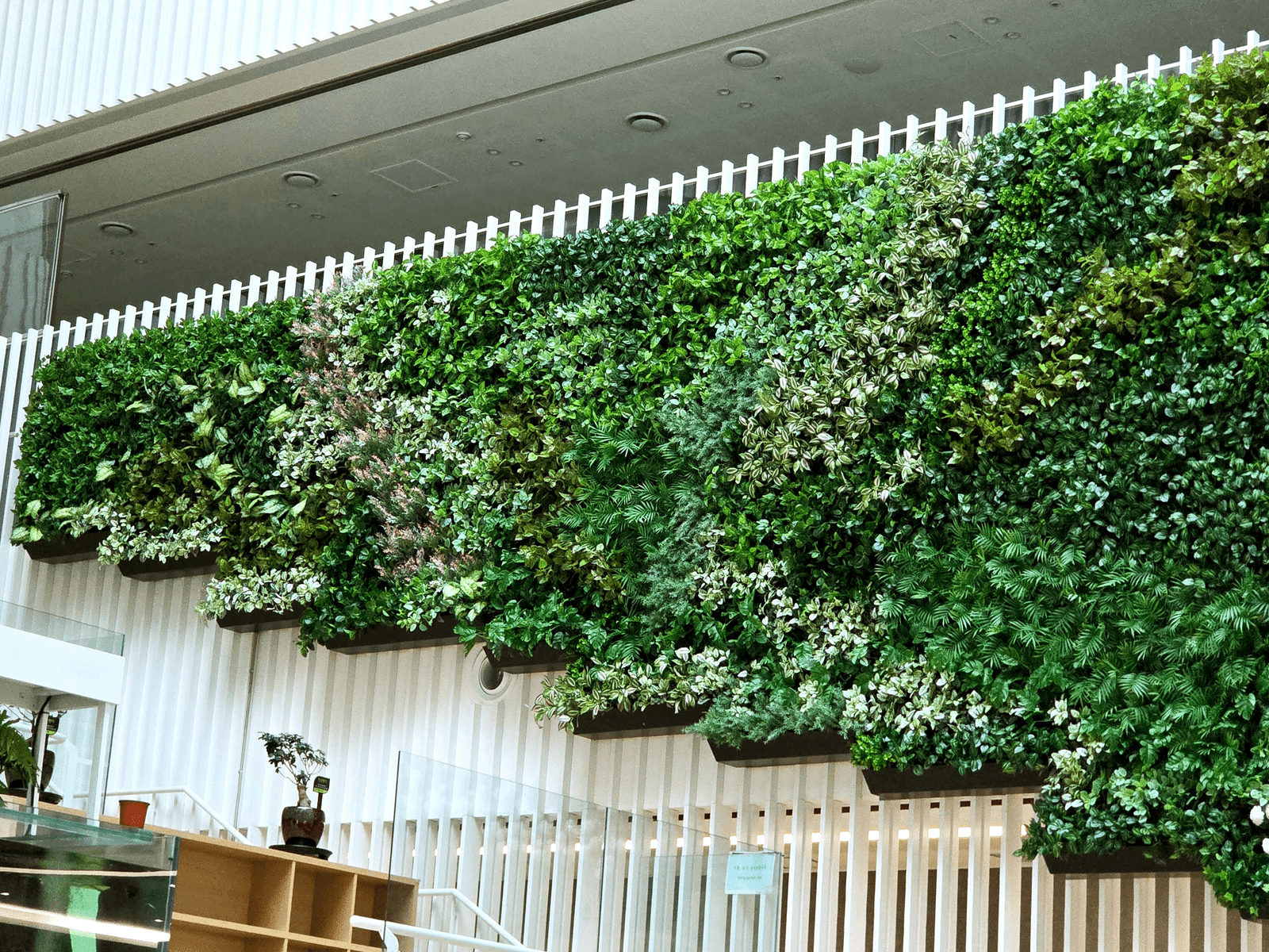 세종 정부세종청사 민원동 유지 설비 없이 유지되는 인조 벽면녹화
