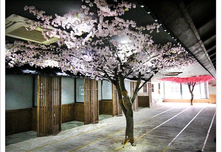 전주 셔먼마켓 — 여린 색으로 균형을 잡은 연분홍 벚꽃